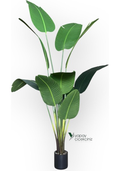 12 Dallı 195 cm Dokulu Iri Yapraklı Lüks Starliçe Ağacı fiyatları