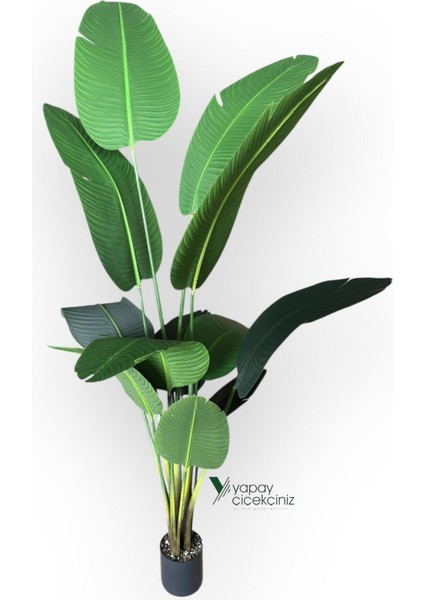 12 Dallı 195 cm Dokulu Iri Yapraklı Lüks Starliçe Ağacı modelleri