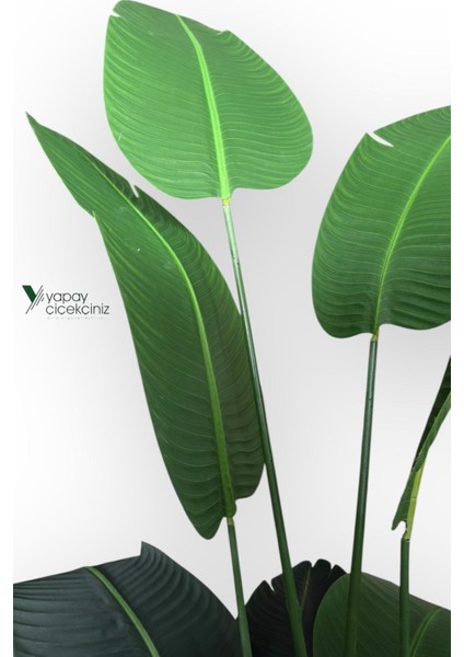 12 Dallı 195 cm Dokulu Iri Yapraklı Lüks Starliçe Ağacı fırsatları