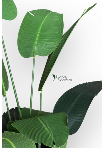 12 Dallı 195 cm Dokulu Iri Yapraklı Lüks Starliçe Ağacı indirimleri