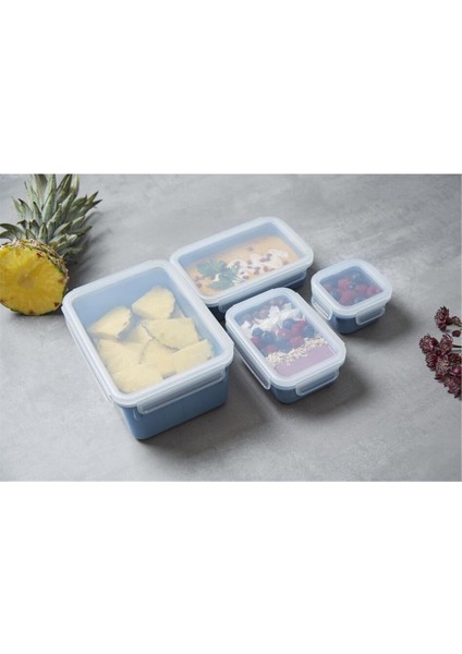 Masterseal Color 4'lü Saklama Kabı Seti - Mavi