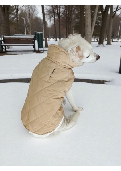 Köpek Montu – Peluş Astar, Kapşonsuz fiyatları