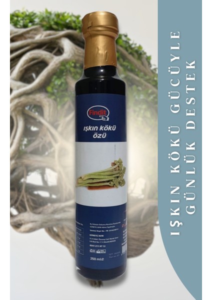 Işkın Kökü Özü 250 ml