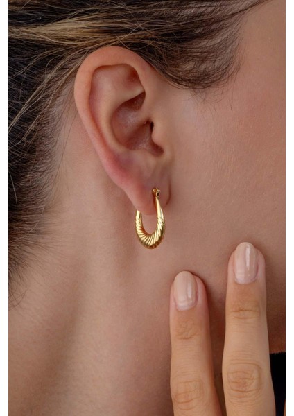 Altın Kaplama Çelik Midye Küpe