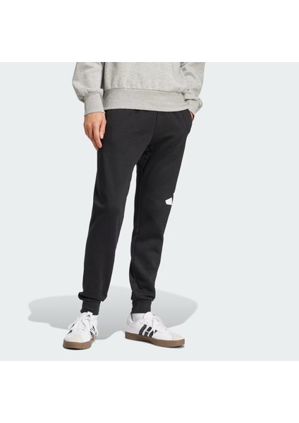 Erkek Siyah Eşofman Altı M BL FL TC PT IN6147 modelleri