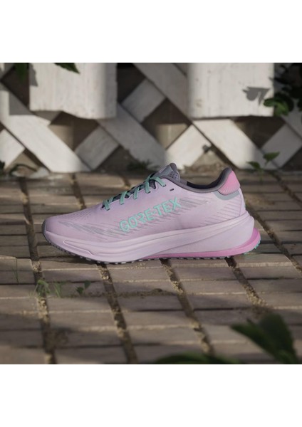 Supernova Rise Gtx Kadın Koşu Ayakkabısı