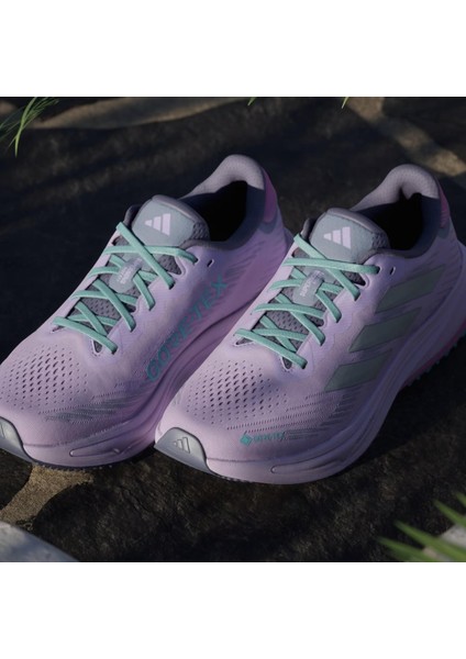 Supernova Rise Gtx Kadın Koşu Ayakkabısı