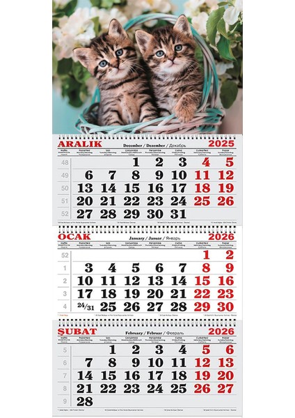 2026 Yılı Gemici Takvimi- Yavru Kediler