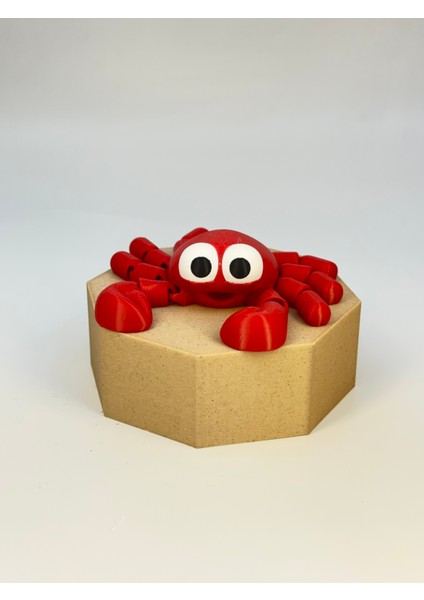 Karayip 5’li Oyuncak Deniz Hayvanları Seti | Hareketli Eklemli Figürler | 11-14CM indirimleri