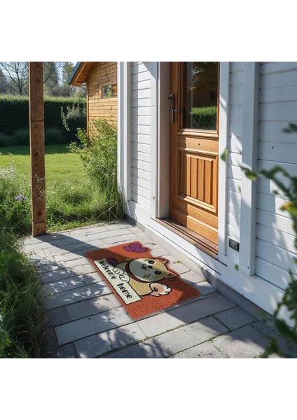 Mdb Sevimli Hayvan Tasarımlı Kapı Paspası indirimleri