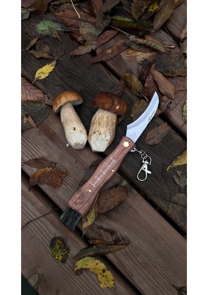 Mantar Bıçağı indirimleri