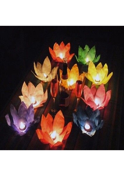 Litae Trend Nilüfer Su Feneri modelleri