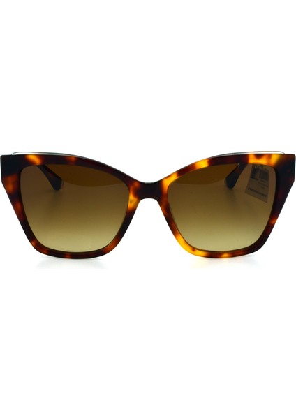 0298 C2 56 U.s. Polo Assn. Güneş Gözlüğü modelleri