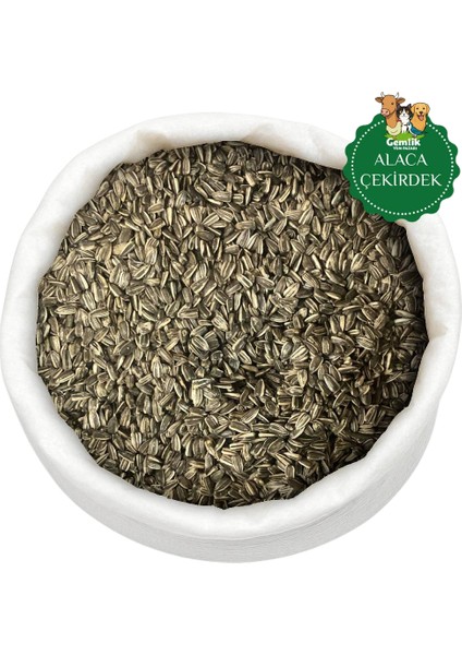 Alaca Çekirdek – Cennet ve Sultan Papağanı Paraket Yemi fiyatları