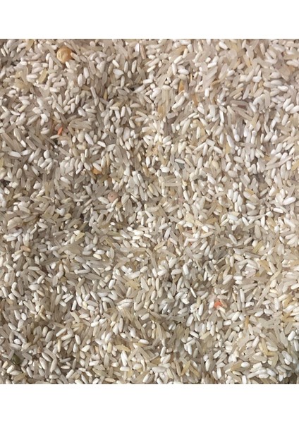 Ham Pirinç – Yemlik Kalite – Kuş, Tavuk ve Kanatlı Hayvan Yemi