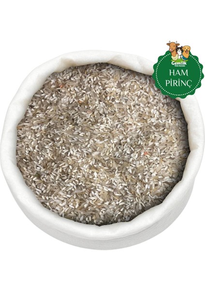 Ham Pirinç – Yemlik Kalite – Kuş, Tavuk ve Kanatlı Hayvan Yemi fiyatları