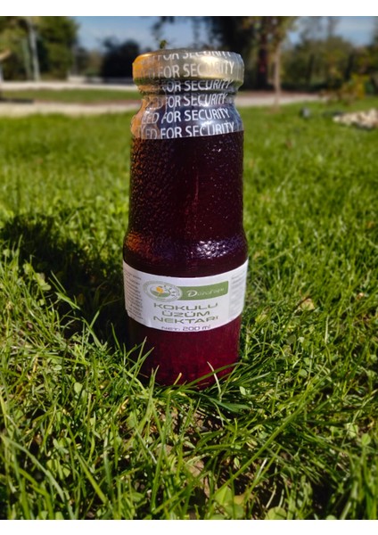 Kokulu Üzüm Nektarı 200 ml fiyatları