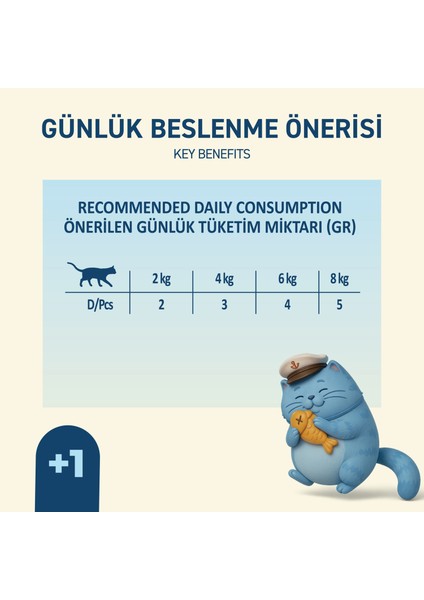 Somonlu Yaş Kedi Maması 85 gr x 24 Adet – Jöle Içinde Parça Etli - Yetişkin Kedi