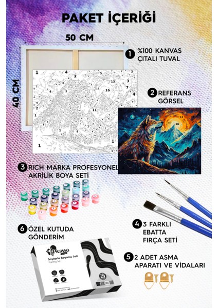 Fantastik Kurt Sayılarla Boyama Seti fiyatları