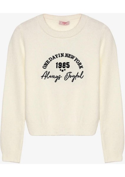 Kadın Nakışlı Bisiklet Yaka Triko Kazak Ekru fiyatları