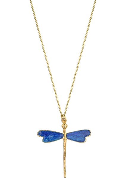 Zincir Yusufçuk Kolye