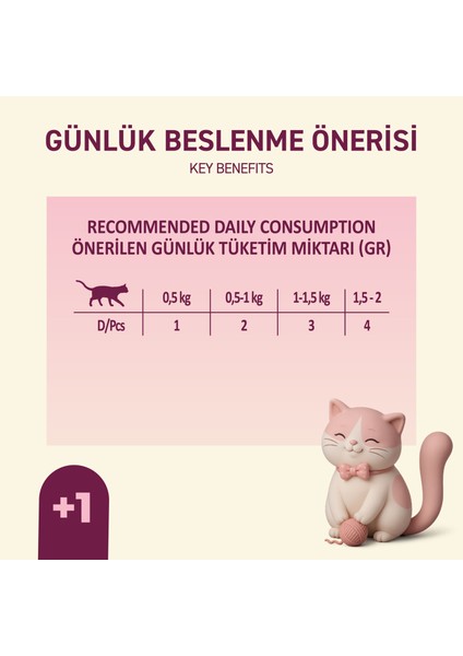 Tavuklu Yaş Kedi Maması 85 gr x 24 Adet – Jöle Içinde Parça Etli - Yavru Kedi