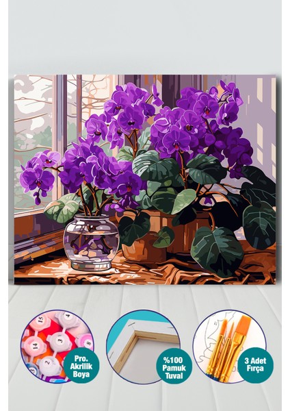 Orkideler Sayılarla Boyama Seti