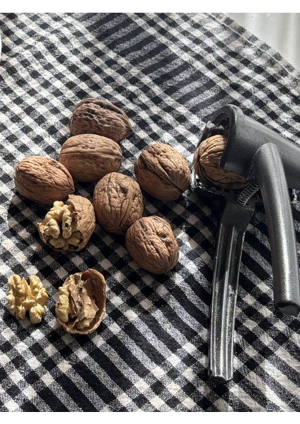 Yerli Kabuklu Chandler Ceviz – Doğal Bahçe Ürünü