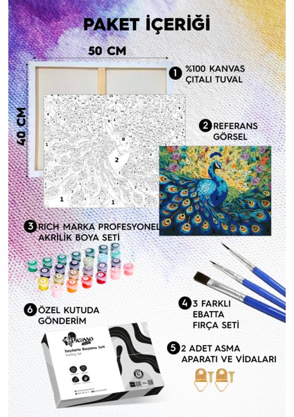 Görkemli Tavuskuşu Sayılarla Boyama Seti fiyatları