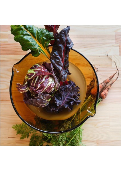 Ommjange Cam Servis Kasesi Cam-Kahverengi 30 cm modelleri