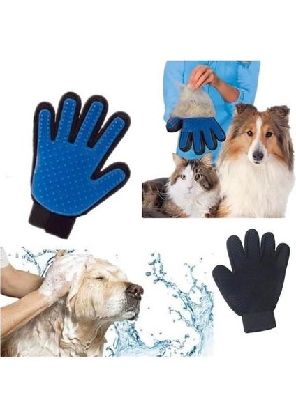 Mdb Kedi Köpek Tüy Toplama Eldiveni fiyatları