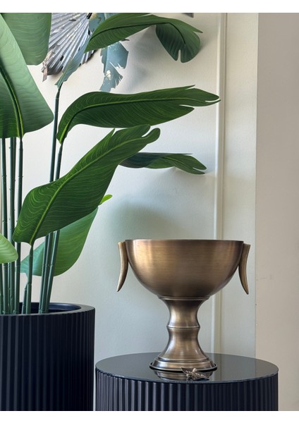 Fil Dişi Detaylı Eskitme Saksı