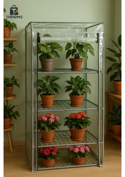 Tek Bölmeli Şeffaf Sera Dolabı | 4 Katlı Raflı Bitki Yetiştirme ve Koruma Kabini