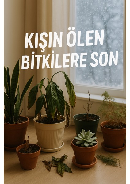 Tek Bölmeli Şeffaf Sera Dolabı | 4 Katlı Raflı Bitki Yetiştirme ve Koruma Kabini modelleri