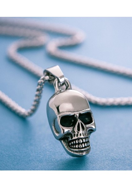 Paslanmaz Çelik, Gotik Tarz, Hediye Takı, Zincirli Model Erkek Metal Kurukafa Kolye fiyatları