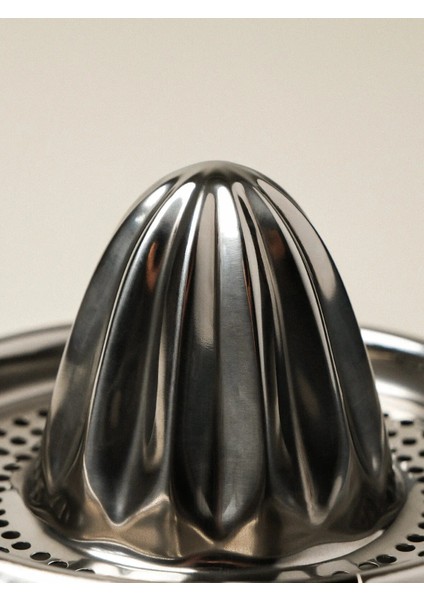 Natt Çelik Limon Sıkacağı modelleri