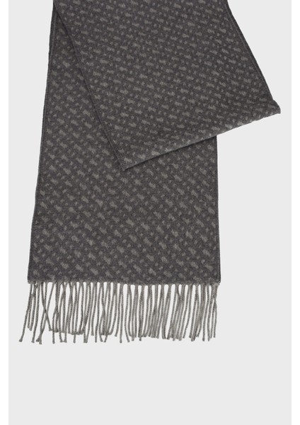 30 x 168 cm Logolu Yünlü Saçaklı Atkı Erkek Atkı 50549851 030 indirimleri