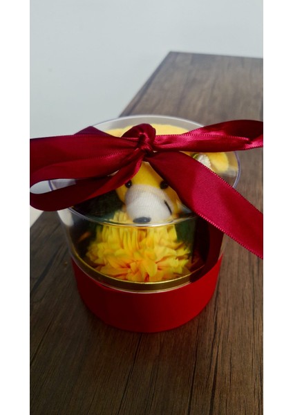 Ayıcıklı Hediye Kutusu fiyatları