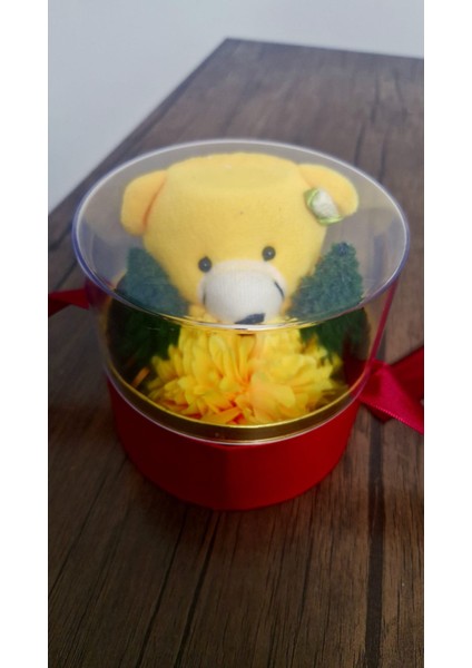 Ayıcıklı Hediye Kutusu modelleri