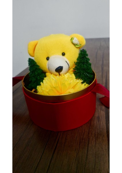 Ayıcıklı Hediye Kutusu fırsatları