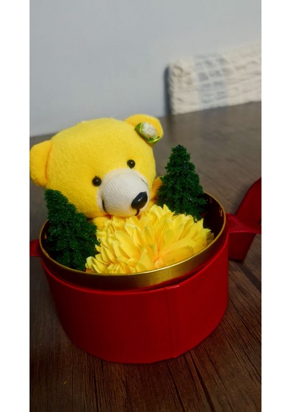 Ayıcıklı Hediye Kutusu indirimleri