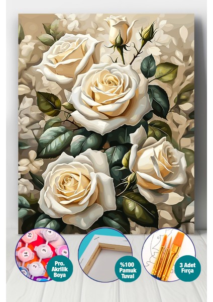Beyaz Güller Sayılarla Boyama Seti