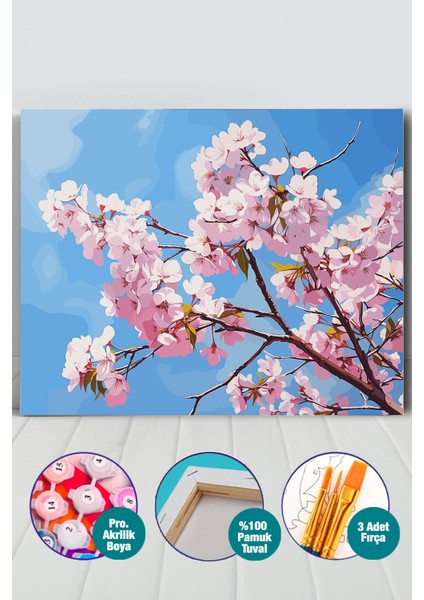 Sakura Ağacı ve Çiçeği Sayılarla Boyama Seti