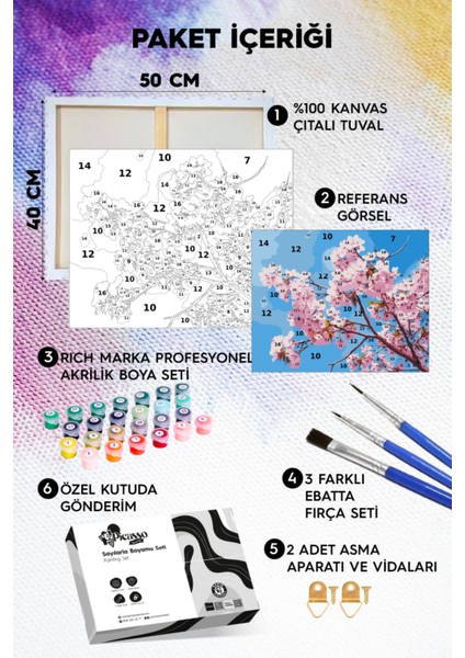Sakura Ağacı ve Çiçeği Sayılarla Boyama Seti fiyatları