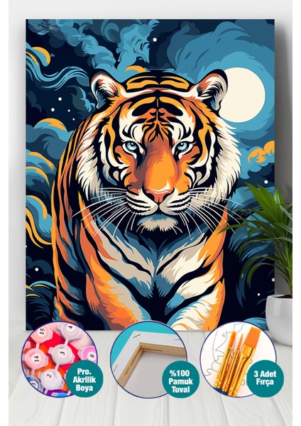 Renkli Gecede Kaplan Sayılarla Boyama Seti