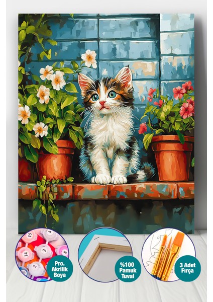 Minik Kedi Sayılarla Boyama Seti