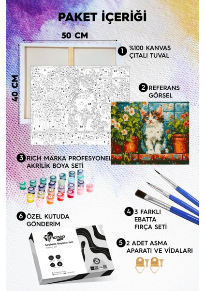 Minik Kedi Sayılarla Boyama Seti fiyatları