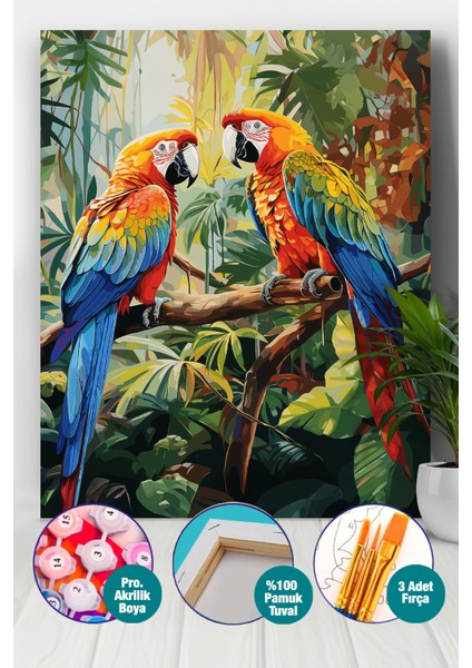 Papağanlar Sayılarla Boyama Seti