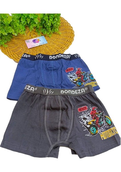 Erkek Çocuk %95 Pamuklu Baskılı 2'li Boxer