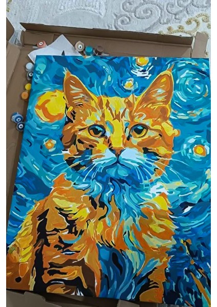 Leo ve Yıldızlı Gece Sayılarla Boyama Seti modelleri